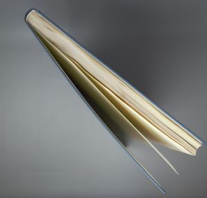 Los 329 - Welcker, Hermann - Untersuchungen über Wachsthum und Bau des menschlichen Schädels. Leipzig, Engelmann, 1862 - 1 - thumb