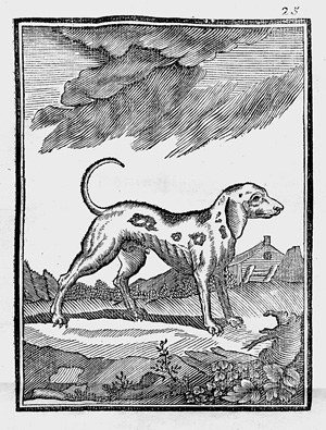 Lot 389, Auction  125, Le Verrier de la Conterie, Jean Baptiste Jacques, Venerie normande. Rouen, L. Dumesnil, 1778