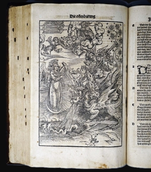 Los 717 - Biblia germanica - Das naw testament nach lawt der Christlichen Kirchen bewerten text - 14 - thumb