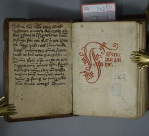 Los 742 - Hortulus anime - Straßburg, Martin Flach, um 1512. - Offenbar eine im VD16 nicht verzeichnete Druckvariante. - 4 - thumb