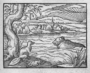 Los 783 - Schopper, Hartmann - Speculum vitae aulicae. Frankfurt, N. Bassée für S. Feyerabend, 1574-1575. - Erste Ausgabe mit den geistreichen Holzschnitten Jost Amman - 0 - thumb