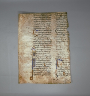 Los 1003 - Beneventana - Fragment eines süditalienischen Chrogebet-Brevier - 3 - thumb