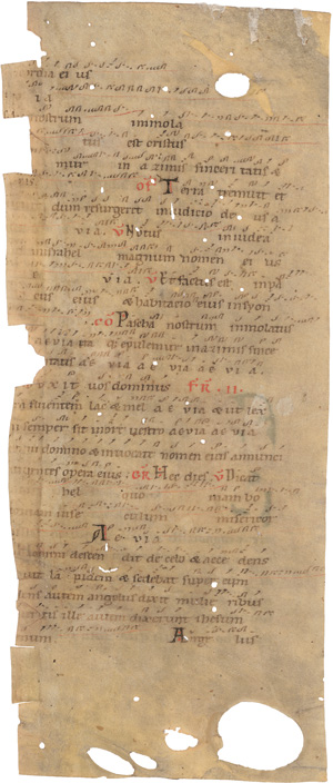 Los 1004 - Resurrexi - Großes Fragment aus einem Gregorianischen Messbuch - 1 - thumb