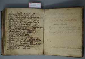 Los 1064 - Arnhold, Christian - Artzeney Buch Vor vile Jinnerliche, und eusserliche, des  - 3 - thumb