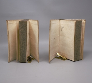 Los 1590 - Gottsched, Johann Christoph - Erste Gründe der gesamten Weltweisheit. Leipzig, Breitkopf, 1736 - 6 - thumb
