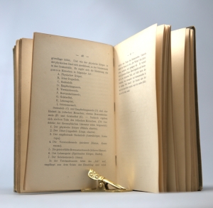 Los 1804 - Steiner, Rudolf - Theosophie. Berlin, Schwetschke, 1904. - Widmungsexemplar - 11 - thumb