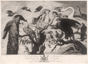 Los 5268 - Earlom, Richard - A concert of Birds - 0 - thumb