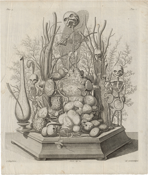 Los 5280 - Huyberts, Cornelis - Diorama mit Skeletten und Organen - 0 - thumb