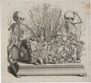 Los 5281 - Huyberts, Cornelis - Diorama mit kleinen Skeletten und Organen - 0 - thumb
