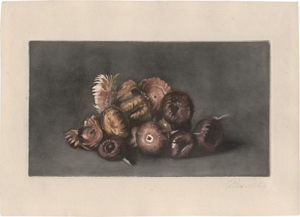 Los 5362 - Ilsted, Peter - Herbstliche Blüten - 0 - thumb