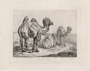 Los 5380 - Klein, Johann Adam - Ca. 32 Blatt aus dem druckgraphischen Œuvre des Künstlers - 0 - thumb