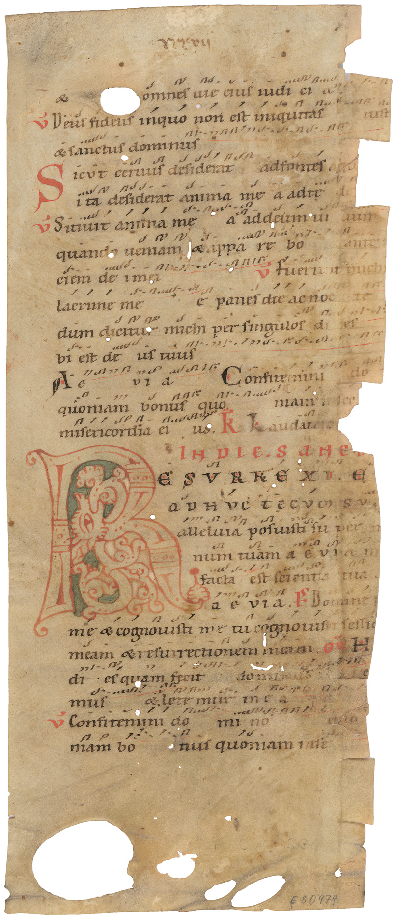 Lot 1004, Auction  125, Resurrexi, Großes Fragment aus einem Gregorianischen Messbuch