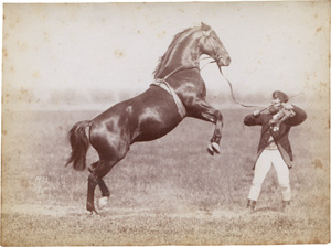 Los 4010 - Anschütz, Ottomar - Equestrian training - 2 - thumb