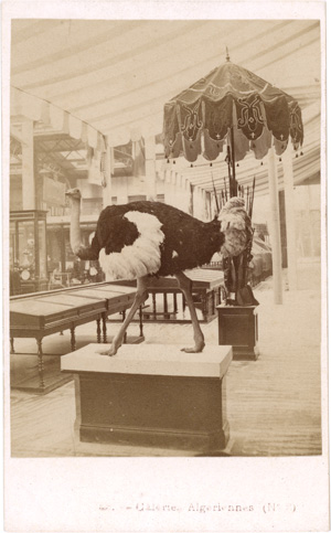 Lot 4036, Auction  126, Exposition Universelle 1867, Views of the Exposition Universelle 1867