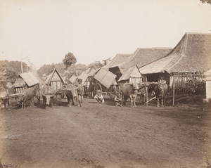 Los 4063 - Java - Views and portraits from Java - 4 - thumb