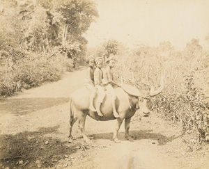 Los 4064 - Java - Views of Java - 2 - thumb