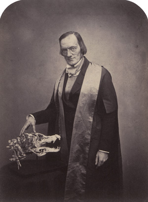 Lot 4068, Auction  126, Maull & Polyblank, Portraits of British public figures