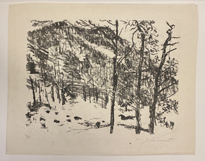 Los 8080 - Corinth, Lovis - Vorfrühling im Gebirge - 2 - thumb