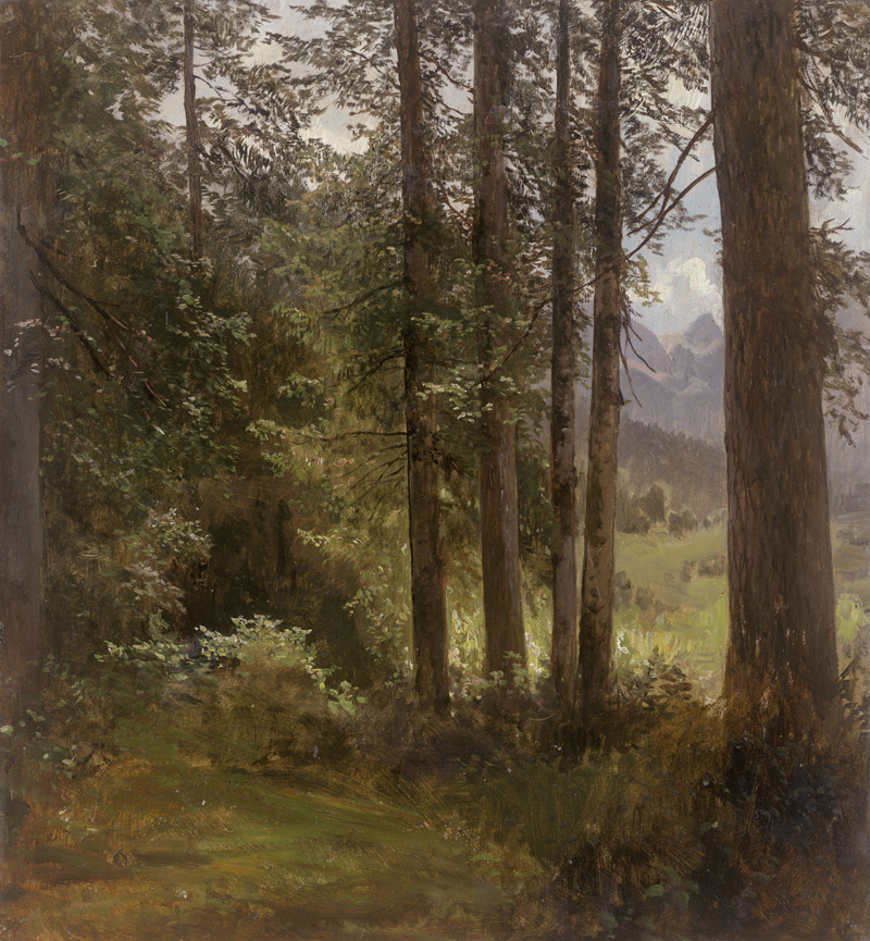 Lot 6106, Auction 126, Deutsch, um 1840. Kleine Waldpartie im Alpenvorland