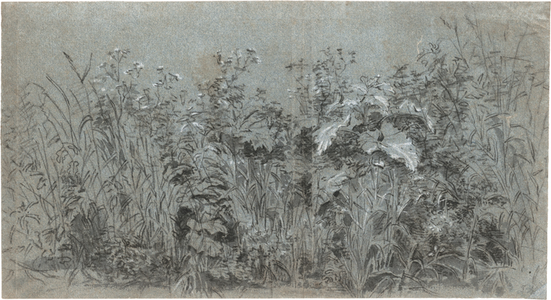 Lot 6533, Auction 126, Niederländisch, 17. Jh. Wiesenstück mit Gräsern und Blattgewächsen