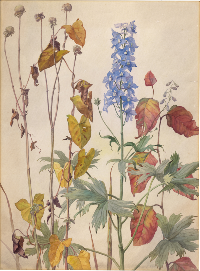 Lot 6752, Auction 126, Lindenau, Erich, Sommerblumen mit Rittersporn
