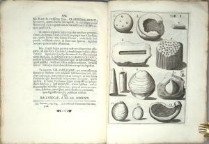 Los 340 - Melle, Jacob von - De Lapidibus Figuratis Agri Litorisque Lubecensis - 2 - thumb