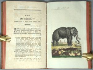 Los 347 - Buffon, Georges Louis Leclerc Comte de - Allgemeine Naturgeschichte. Fünfter (-Siebenter u. letzter)  Theil - 7 - thumb