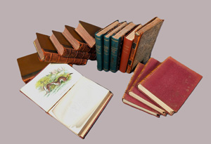 Lot 355, Auction  127, Kirby, William Forsell, A handbook to the order lepidoptera