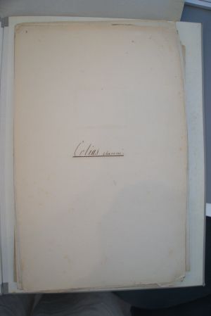 Los 362 - Spätbiedermeierliche Sammlung von ca. 135  aquarellierten Naturselbstdrucken - von verschiedenen Schmetterlingen und Motten - 12 - thumb