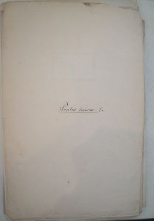 Los 362 - Spätbiedermeierliche Sammlung von ca. 135  aquarellierten Naturselbstdrucken - von verschiedenen Schmetterlingen und Motten - 15 - thumb