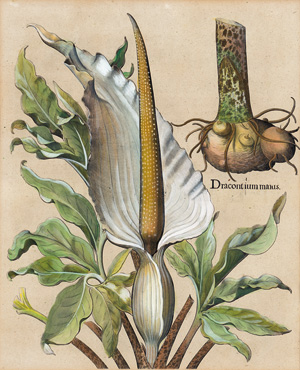 Lot 1041, Auction  127, Neuschloß, Kontorbuch aus der Kaunitz-Bibliothek Neuschloß. Deutsche Handschrift auf Papier