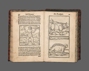 Lot 1170, Auction  127, Obsequens, Iulius, Prodigorum liber