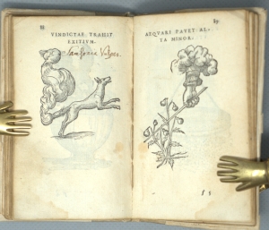 Los 1175 - Paradin, Claude - Devises Heroiques. Lyon, Jean de Tournes, 1551. - Erste Ausgabe der ersten Sammlung von Sinnbildern, die zur Erklärung verschiedener Embleme dienen - 18 - thumb