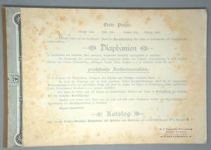 Los 1276 - Grimme & Hempel - Musterbuch über Diaphanien. Kunstvolle Fenster-Decoration. Glasmalerei - 4 - thumb