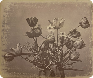 Lot 4027, Auction  127, Braun, Adolphe, Flower study