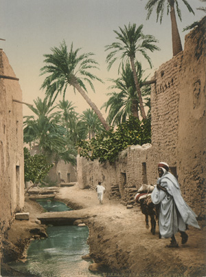 Lot 4101, Auction  127, Photochromes, Views of Tunisia and Algeria 