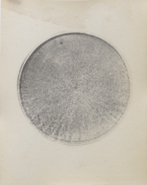 Los 4107 - Redmayne, John Thomas - Micro-photographs from the Diatomaceae - 4 - thumb