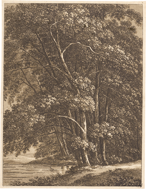 Lot 5349, Auction  127, Günther, Christian August, Charakteristische Darstellung der meisten deutschen Hölzer...
