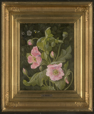 Los 6056 - Nørbye, Anna L. Vilhelmine - Rosa Klatschmohn - 1 - thumb