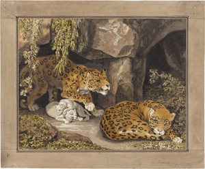 Lot 6359, Auction  127, Tischbein, Johann Heinrich Wilhelm, Zwei Leoparden mit ihren Jungen vor einer Höhle