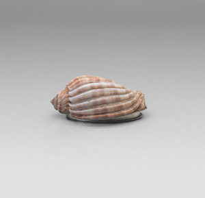 Lot 6445, Auction  127, Tabaksdose, Tabatière