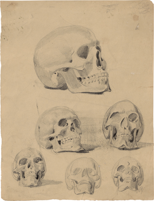 Lot 6673, Auction  127, Busch, Wilhelm, Sechs Schädelstudien