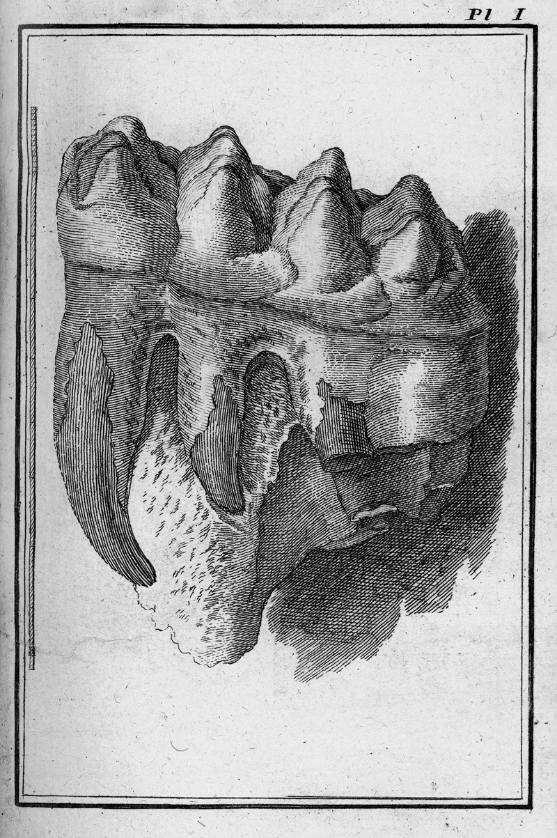 Lot 329, Auction  127, Buffon, Georges Louis Leclerc Comte de, Les époques de la nature