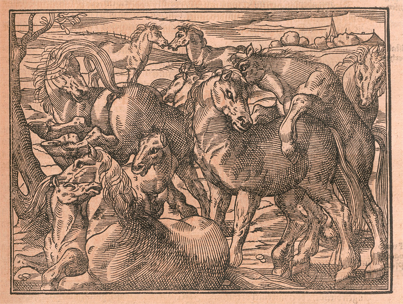 Lot 1115, Auction  127, Estienne, Charles und Liébault, Jean,  XV Bücher von dem Feldbau