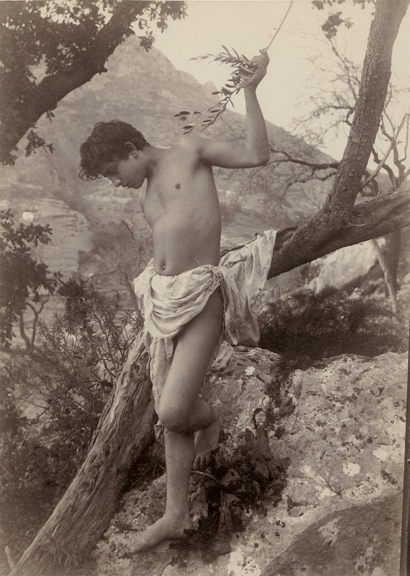 Lot 4071, Auction  127, Gloeden, Wilhelm von, Young boy leaning on tree branch