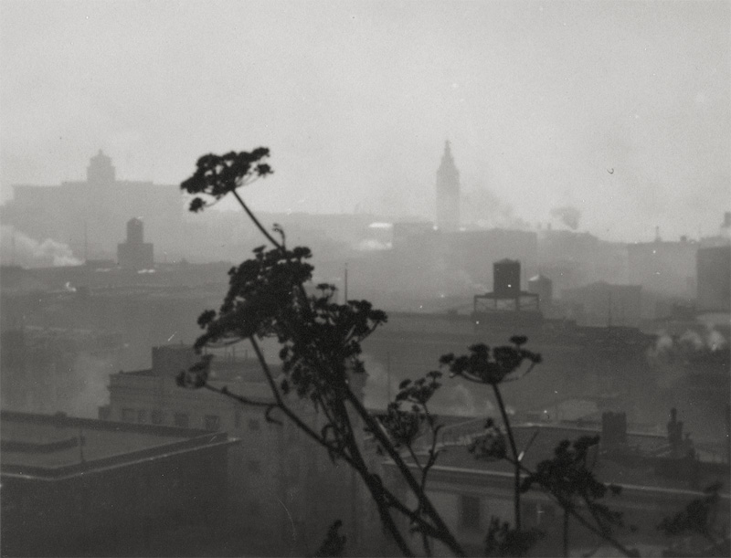 Lot 4158, Auction 127, Dassonville, William E., San Francisco skyline