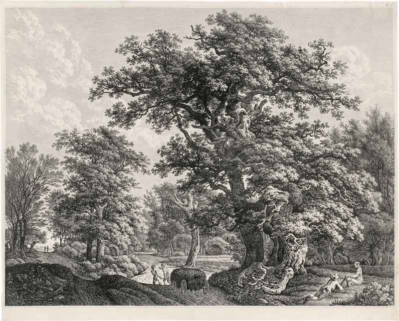 Lot 5282, Auction 127, Kolbe, Carl Wilhelm, Waldlandschaft mit zwei großen Eichen