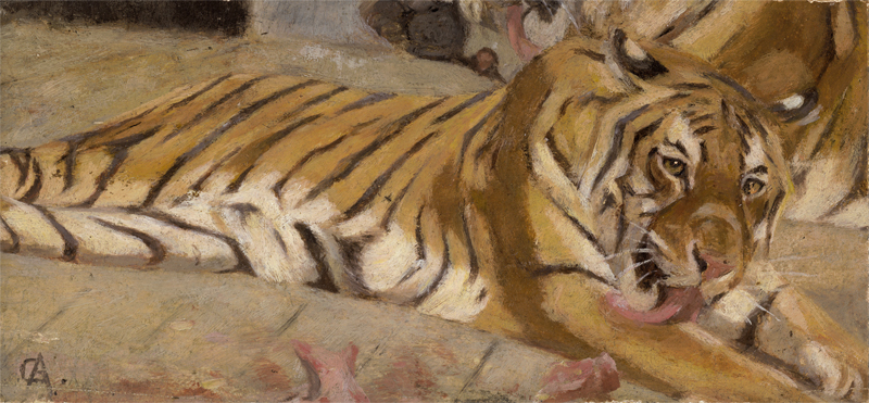 Lot 6378, Auction  127, Deutsch, um 1920. Bengal-Tiger, liegend