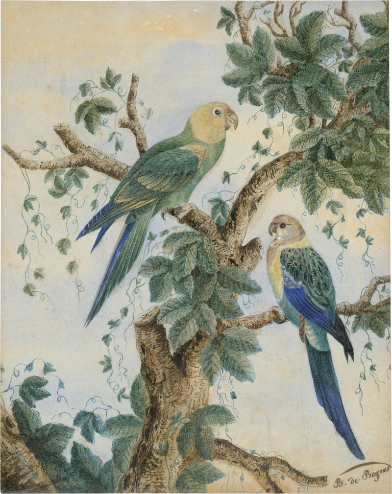 Lot 6456, Auction 127, Französisch, 19. Jh. Zwei Papageien mit grün-blauem Gefieder