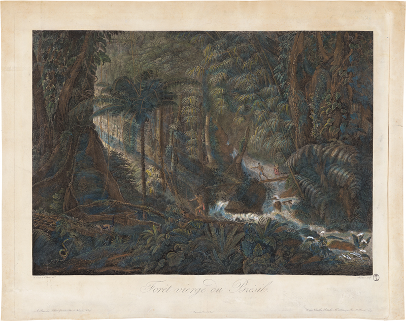 Lot 6459, Auction 127, Clarac, Charles-Othon-Frédéric Comte de - nach, "Forêt vierge du Brésil"